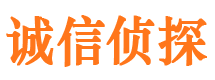 远安市婚外情调查